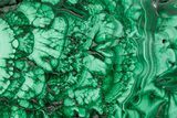Flowery Polished Malachite Slab - D R Congo #379718-1